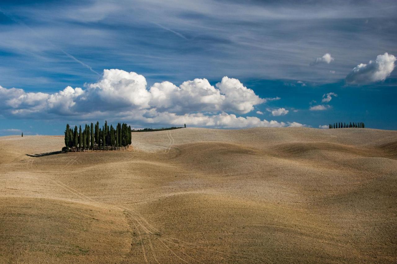 Chimera Tuscany Resort 阿雷佐 外观 照片
